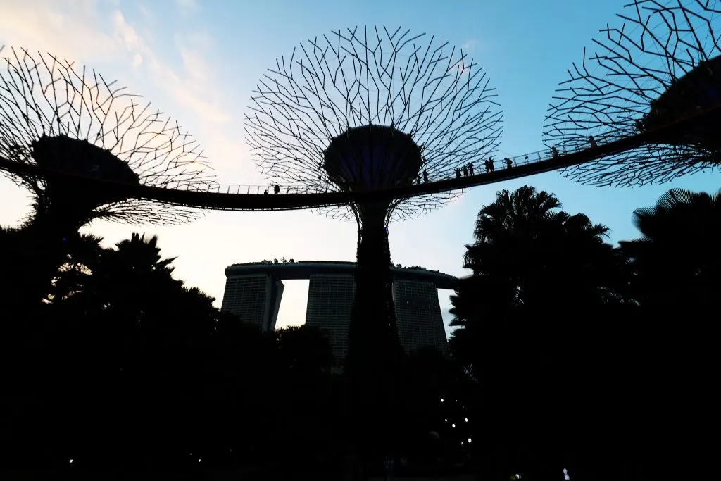 Gardens by the bay