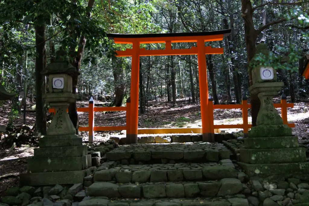 Lanterns of Kasuga Taisha