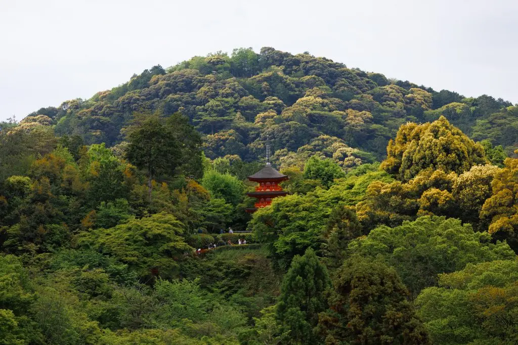 Nestled in the green hills of Higashiyama.