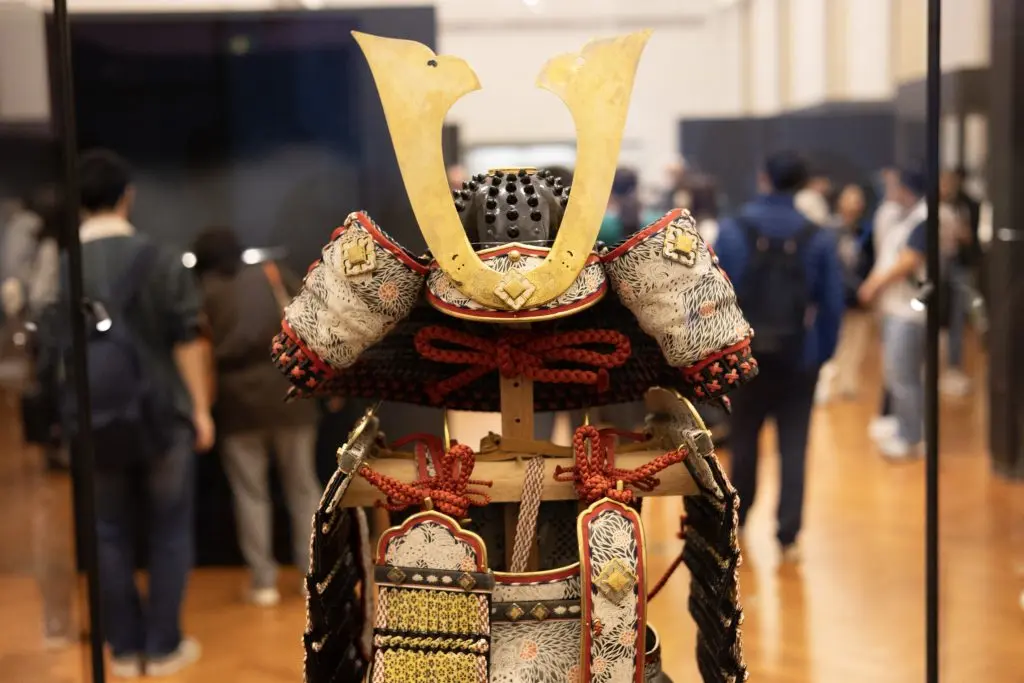 Helmet Detail
