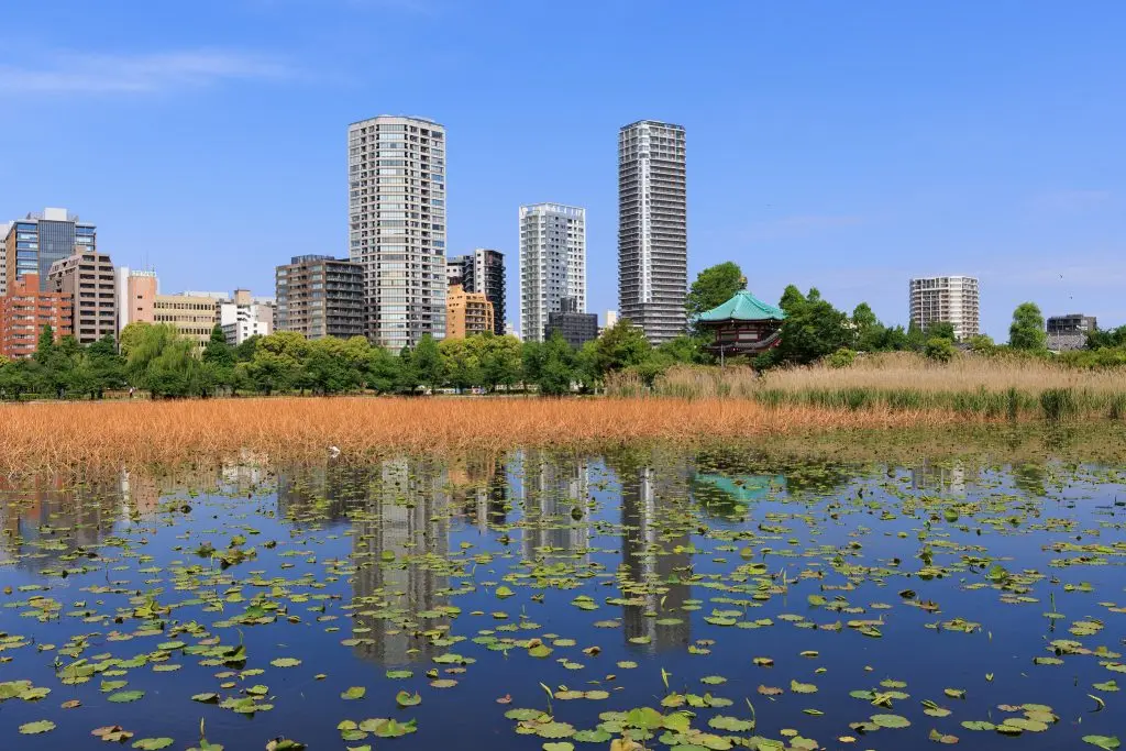 Uneo Park